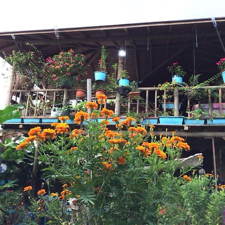 Wood House Hostel La Fortuna ภายนอก รูปภาพ