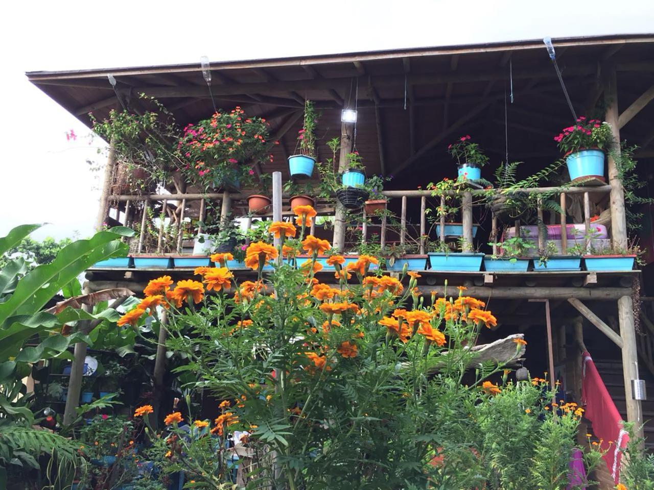 Wood House Hostel La Fortuna ภายนอก รูปภาพ