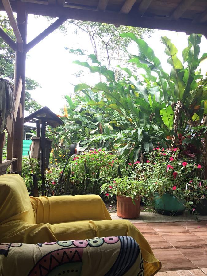 Wood House Hostel La Fortuna ภายนอก รูปภาพ